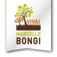 VIVAI BONGI